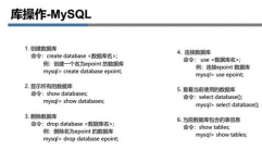 mysql与oracle,深化解析两种数据库办理体系的差异与特色