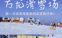 go ski,Go Ski 滑雪体会全攻略