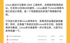 linux修正,Linux体系简介