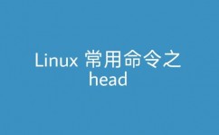 linux检查文件指令