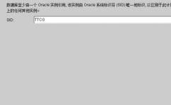 oracle数据库实例,Oracle数据库实例详解