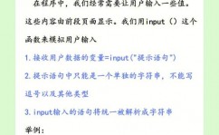 python输入字符串, 运用 input() 函数接纳用户输入