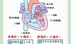 python求n的阶乘, 阶乘的界说