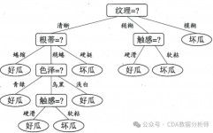 机器学习决策树实战, 二、决策树的基本概念