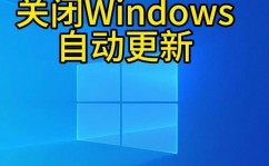 windows网页版