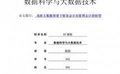 财政大数据剖析,新时代企业决议计划的利器