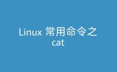 linux检查日志的指令,Linux检查日志的常用指令详解