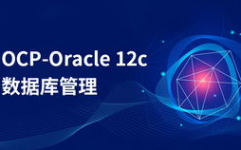 oracle数据库优化,Oracle数据库优化的重要性