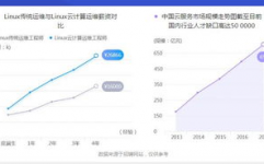 云核算运维工程师,新时代的IT守护者