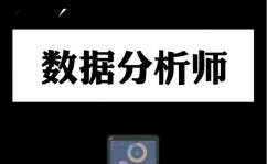 金融大数据剖析师,数据年代的金融智囊