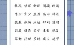 css设置字体款式