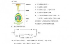 vue富文本修改器, 什么是Vue富文本修改器？