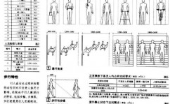 人体标准数据库,规划与使用的要害