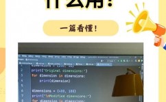 python手机版,手机编程新体验——Python手机版运用全解析