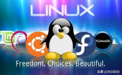 linux是谁开发的,林纳斯·托瓦兹的传奇故事