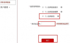 大数据征信查询进口,全面了解个人信誉情况的快捷通道