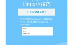 Linux2839867Z空间,空间优化与功能提高