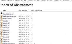 linux检查tomcat版别