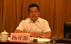 兴业县长杨开源,玉林市兴业县原县长杨开源承受纪律检查和督查查询