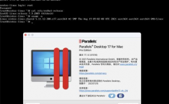 macbook装置linux,MacBook装置Linux体系全攻略