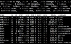 linux监控指令,进程监控指令