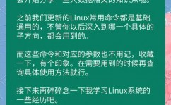 linux联网,从入门到通晓