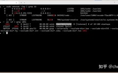 linux敞开ssh,什么是SSH服务？