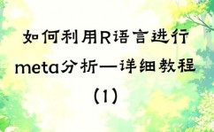 r言语官网,数据剖析与计算建模的强壮东西