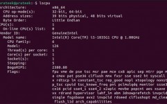 怎么检查linux内核版别,Linux内核版别检查办法详解