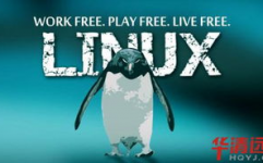 linux可以做什么,强壮的开源操作体系，无限或许的运用场景