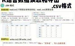 r言语导出数据,办法与技巧详解