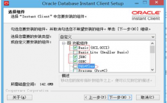 oracle11g客户端,oracle11g客户端下载