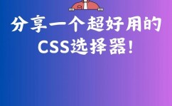 css款式规矩,css款式代码大全