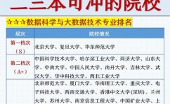 大数据专业哪些大学有,大数据专业概述