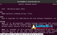 开源linux,自在、立异与同享的未来操作体系