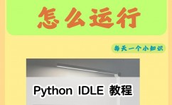 windows检查python版别