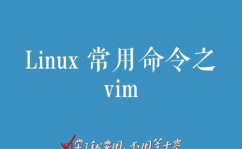 linux的vim,什么是 Vim？