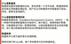 易言语mysql数据库,易言语简介