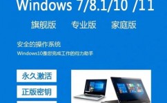 windows8.1专业版,体系之家官方网站官网