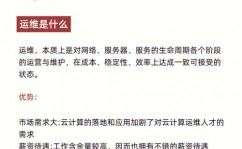 云核算网络安全,应战与应对战略