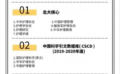 我国中心期刊数据库,学术研讨的导航灯塔