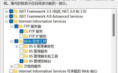 windows树立ftp服务器,Windows渠道下树立FTP服务器教程