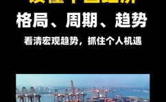 我国微观经济数据库,全面洞悉经济走势的利器