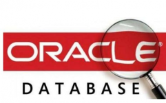 oracle是什么意思,Oracle的意义概述