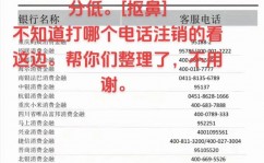 网贷大数据修正,揭秘信誉重建之路