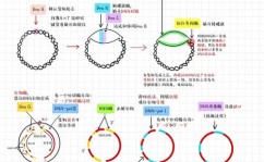 mysql并行仿制,MySQL 并行仿制的概述