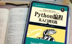 python运用,从入门到实践，探究编程国际的无限或许