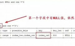 数据库null,什么是数据库中的NULL？