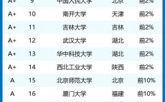 复旦大数据,复旦大学大数据学院的兴起与开展