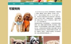 html5源码,```htmlHTML5 页面示例